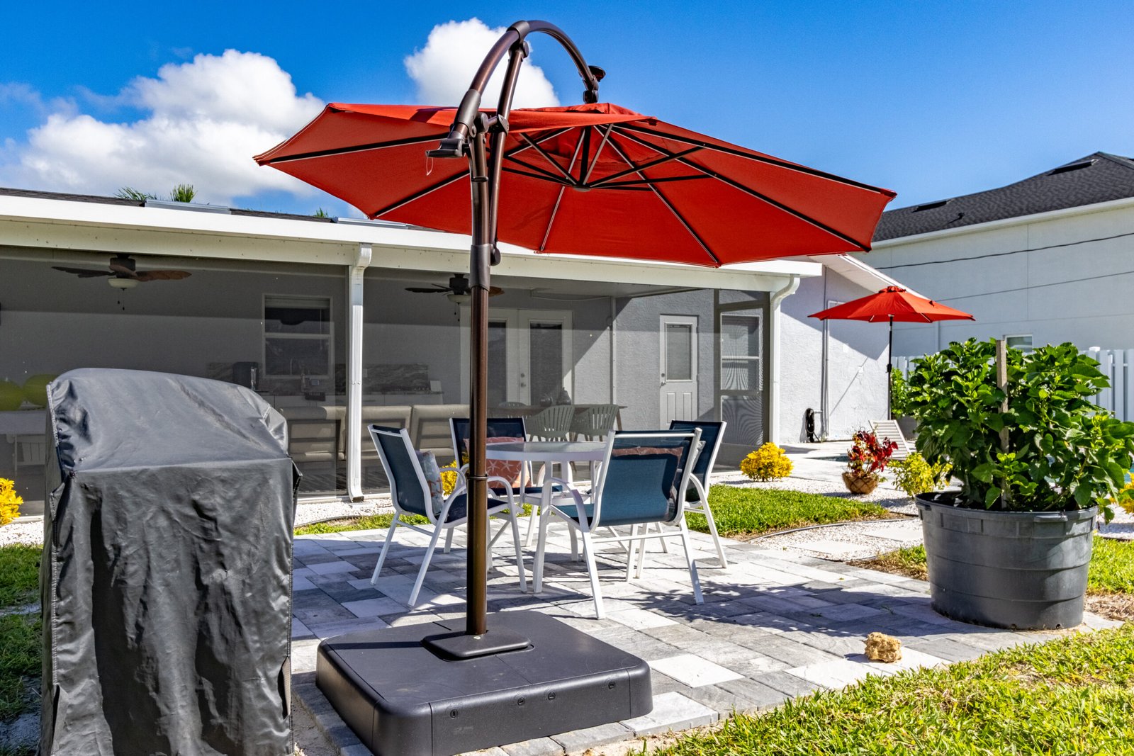 Cali at the Cape (31)