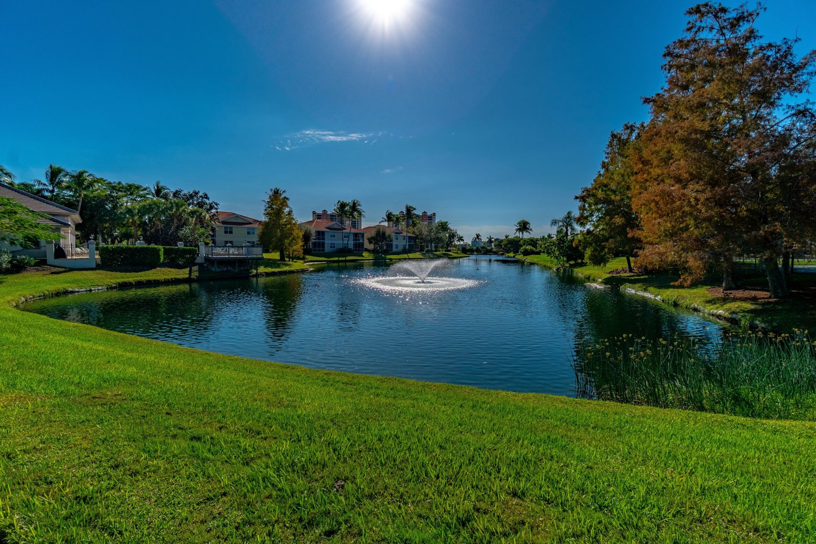 Hooked On Harbour (38)