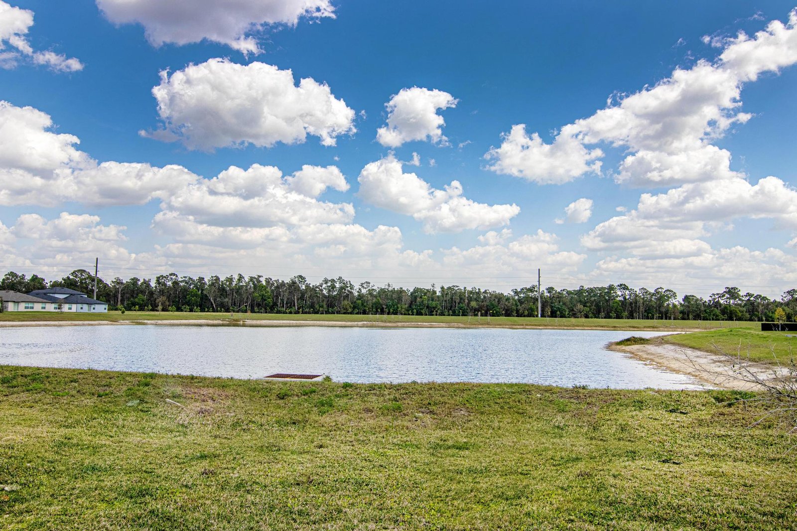 The Crane's Nest (2)