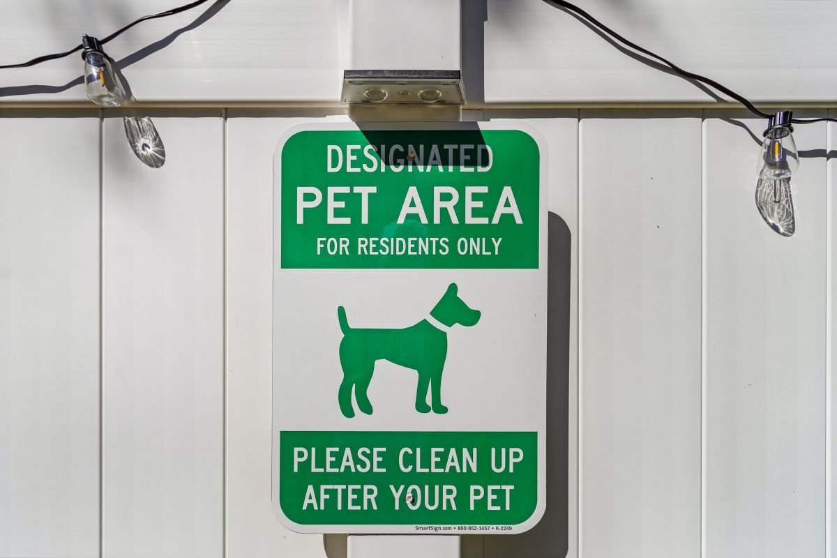 The Coconut Shack (59)